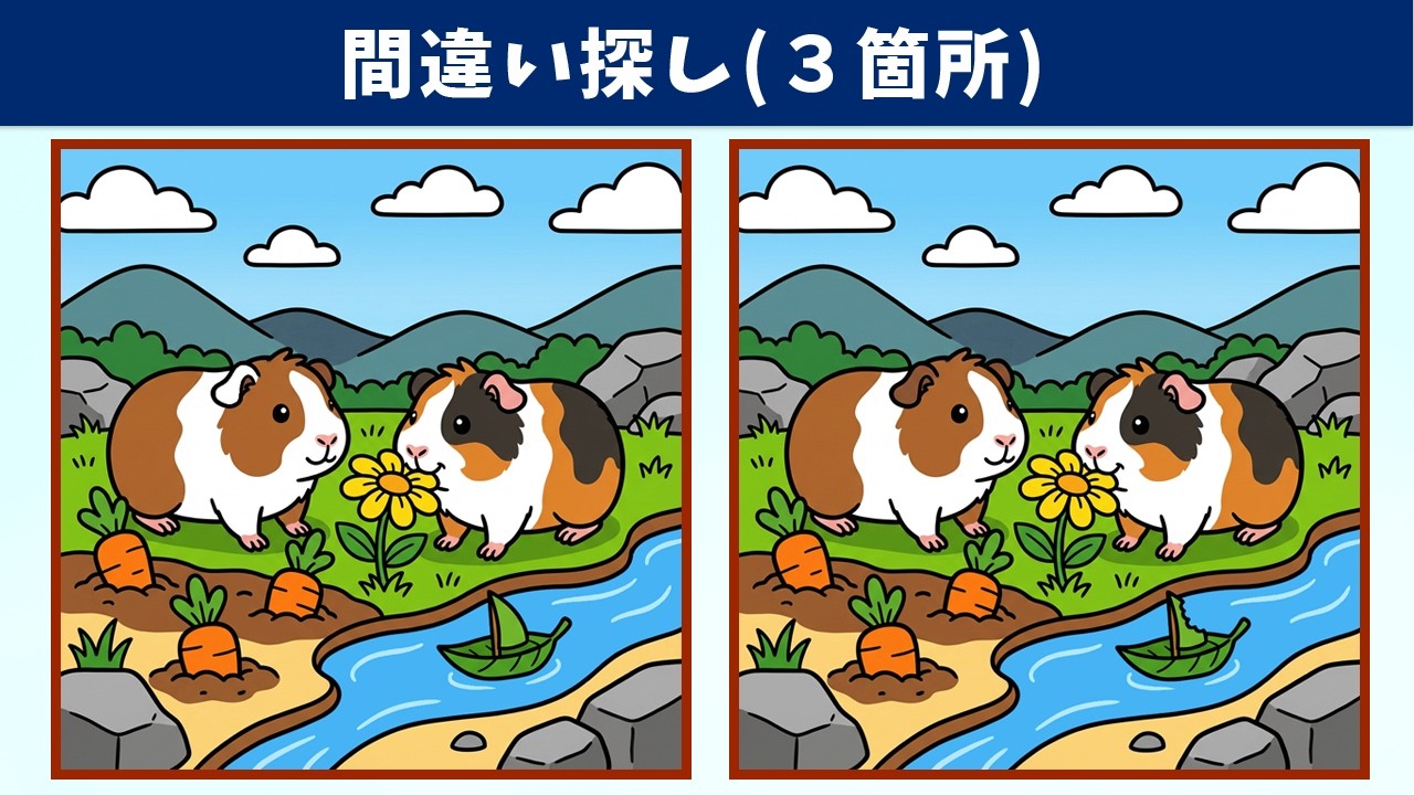 Найдите 3 отличия | Иллюстрация Версия #2087