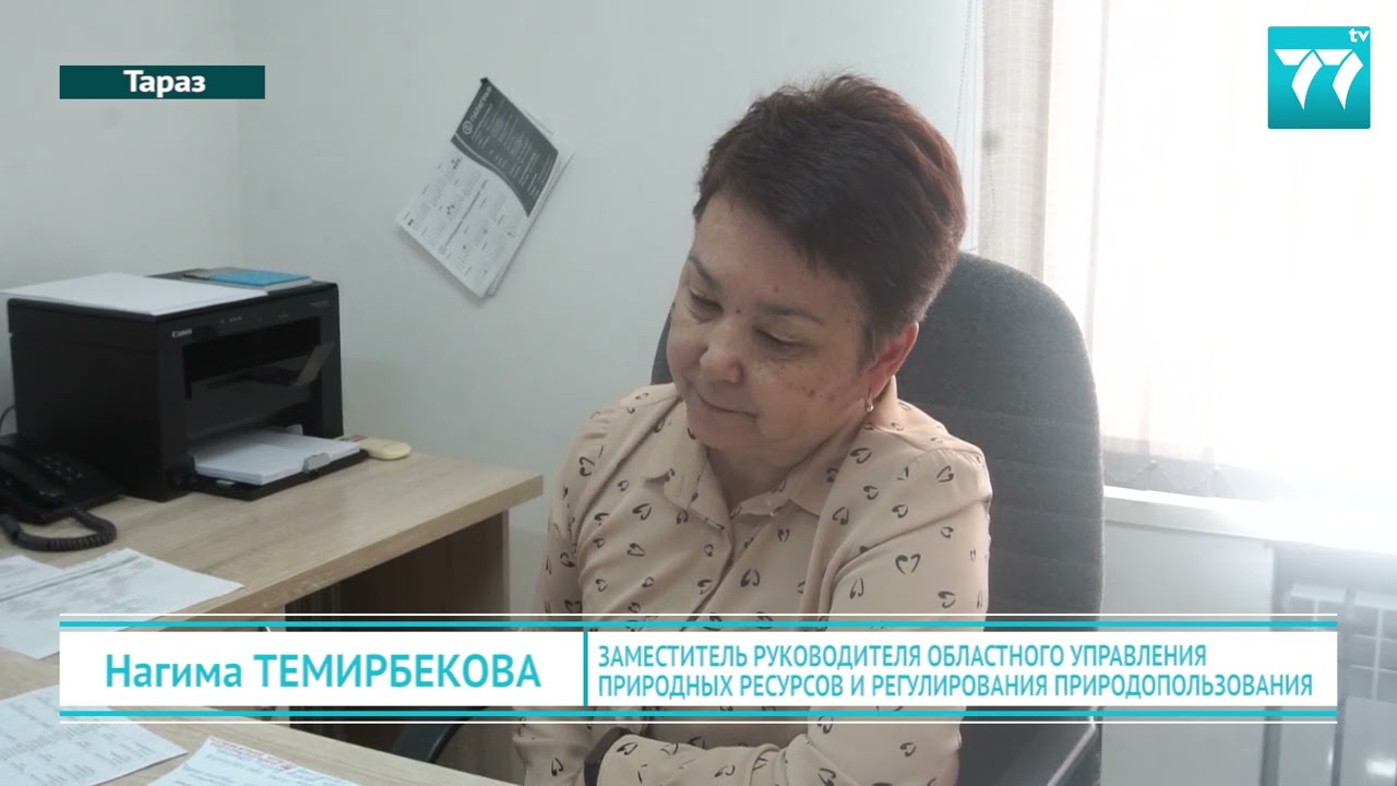 ЭКОЛОГИЧЕСКИЕ ПРОБЛЕМЫ И ПУТИ ИХ РЕШЕНИЯ