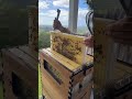 How to remove a flow frame from your flow hive