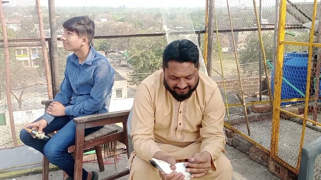 @#اتوار والے دن کبوتر بازی اور چڑی ماڑی