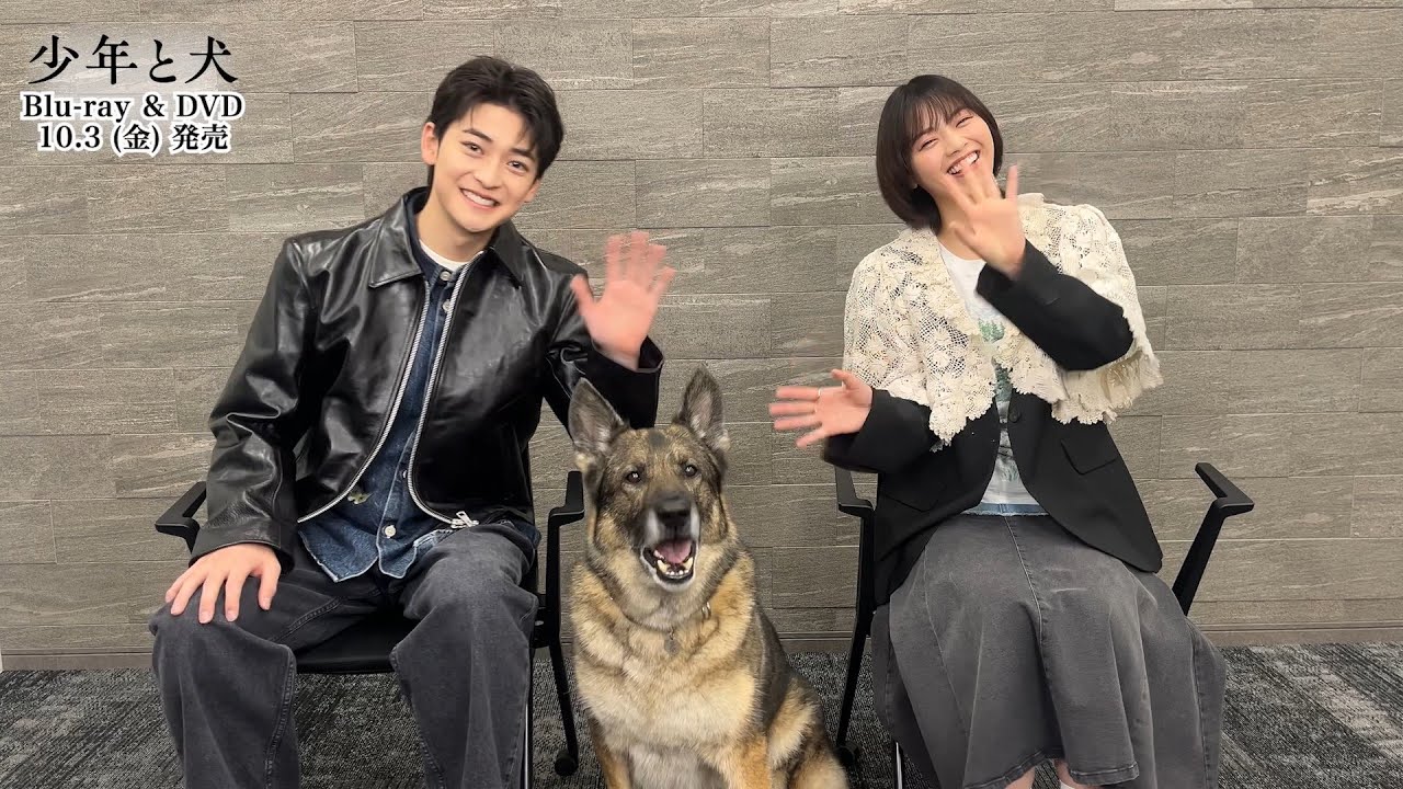 Commentary videos from Takahashi Fumiya and Nishino Nanase have