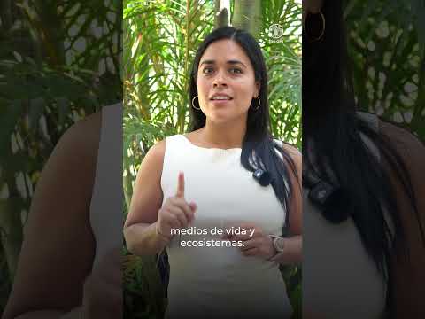 Manejo Integral del Fuego: ciencia y saberes ancestrales para proteger nuestros territorios