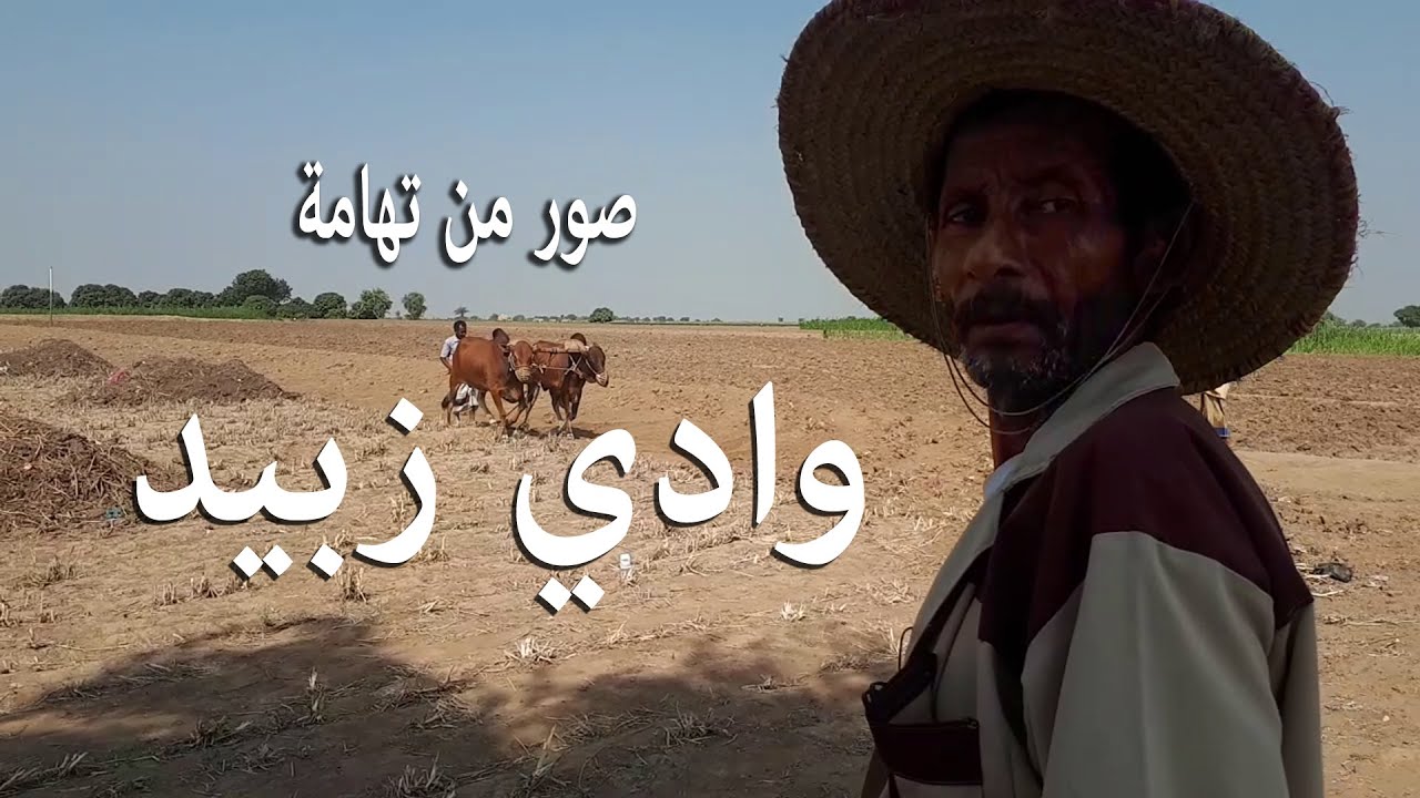 من وادي زبيد على قصيدة أفدي زبيد للمنشد أبو الغيث حمود