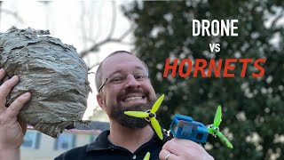HORNETS NEST vs FPV DRONE