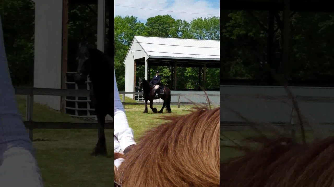 4h horse show may 21 2017