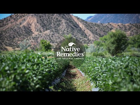 Native Remedies Who We Are