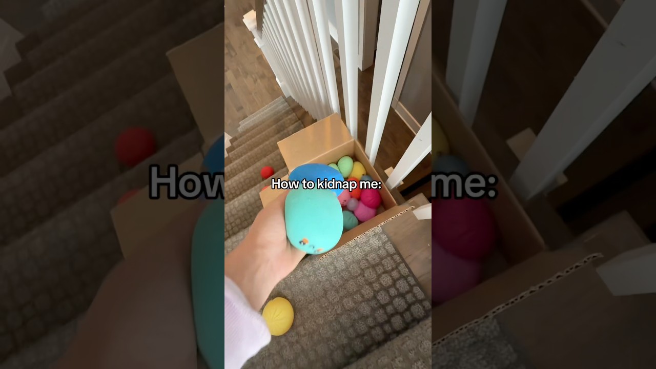 How to KIDNAP me 🤪… 