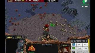 WCG Korea 09 Ro8: Luxury v Yellow[arnc] S2