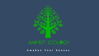 What Is Animist Ecology? Embodied Learning In The Forest