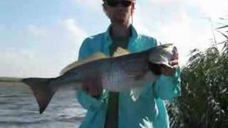 Speckled Trout And Redfish Fishing Trip In Venice, La