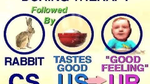 Systematic Desensitization   Little Albert mov