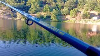 Ψάρεμα στην λίμνη #fishing #lake #pike #perch