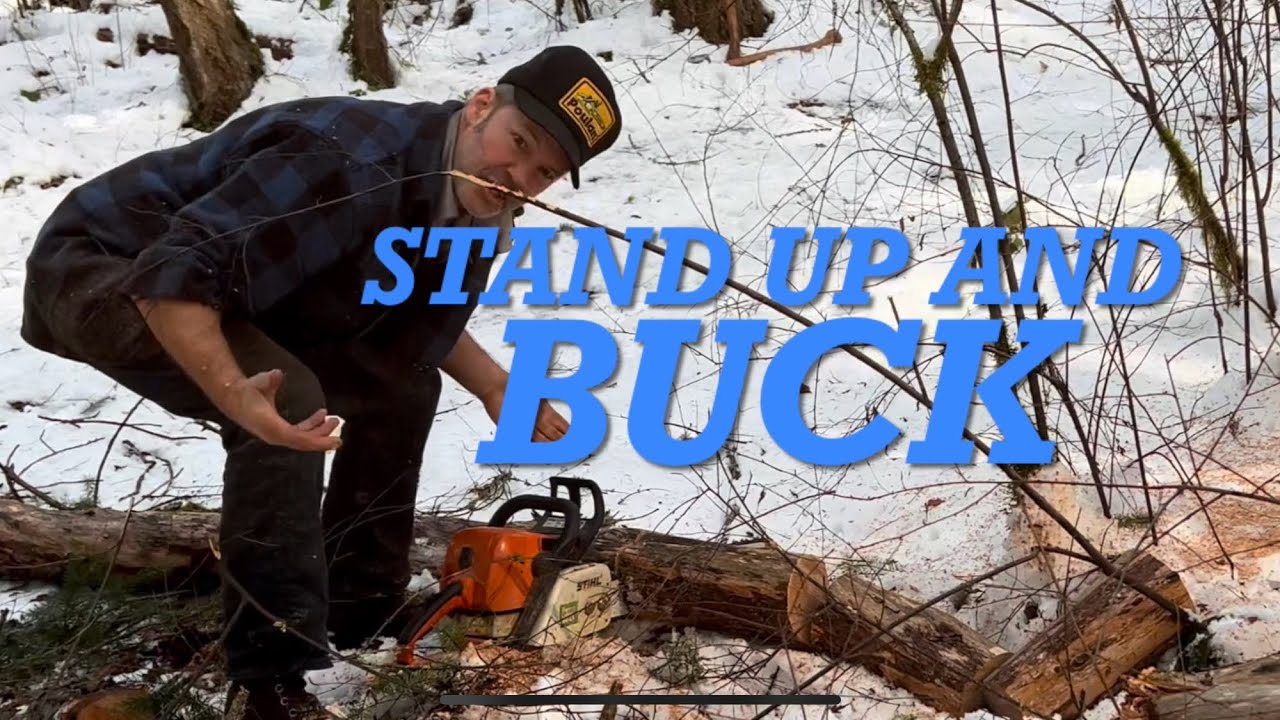 How to cut firewood with a short bar. Stihl 290, 20” Bar - YouTube
