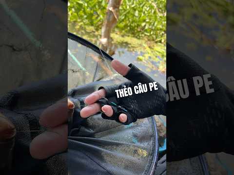 Thẻo câu cá bằng dây pe lõi carbon kèm lưỡi nanh sói #vyhanfishing #theopeloicarbon