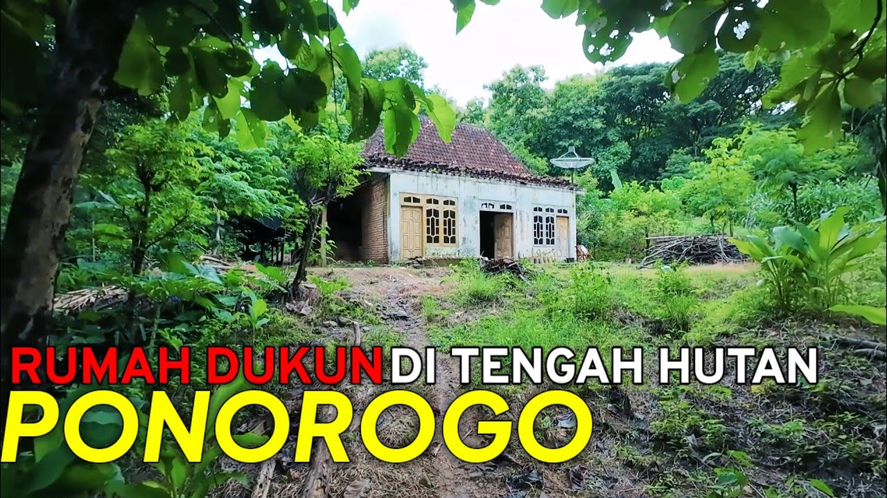 VIRAL‼️RUMAH DUKUN DI TENGAH HUTAN BELANTARA PONOROGO