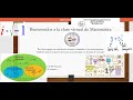 Clase de Matemática (Números Complejos). A través de la plataforma Zoom