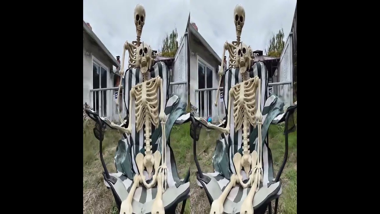 Backyard Skeletons 3D metadata