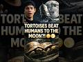 TORTOISES BEAT HUMANS TO THE MOON?! 😳🌕