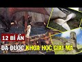 12 Bí Ẩn Kinh Điển Trong Lịch Sử Thế Giới Đã Được Khoa Học Giải Mã Thành Công