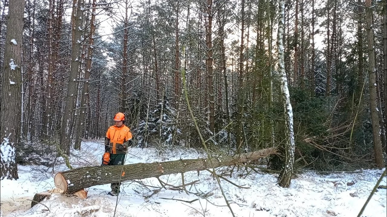Stihl ms 261
