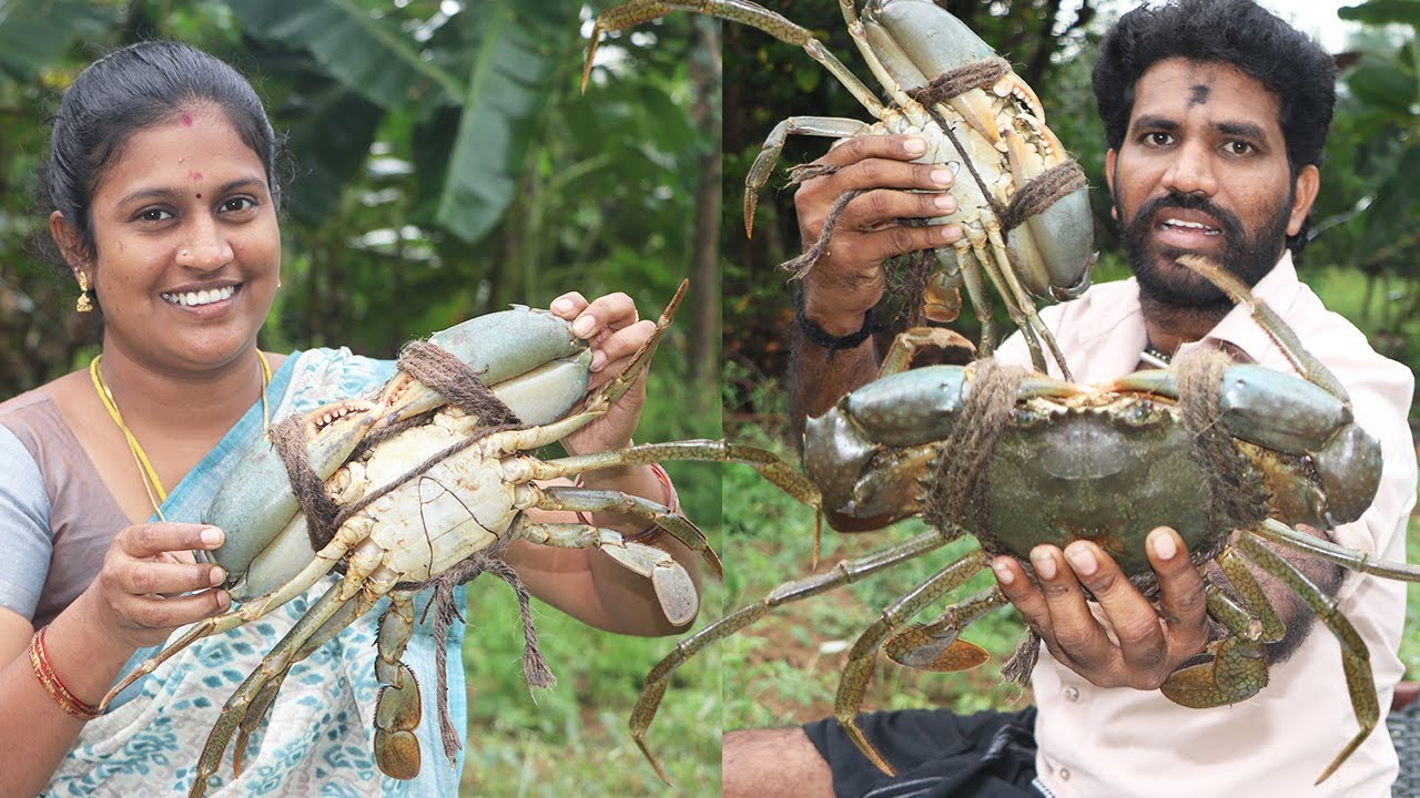 KING SIZE CRAB | 2Kg Crabs | Samba Nandu | Traditional Crab Gravy | Village Style Cooking & Eating