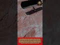 ACCESORY TOOL:Rug Squeegee with Manual Push System for Deep Rug Cleaning#worktool#tool