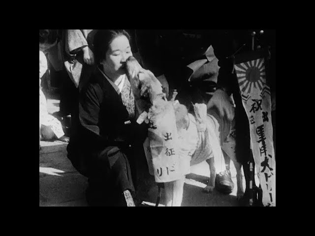 1939 film stars army dogs, the loyal, abandoned war combatants