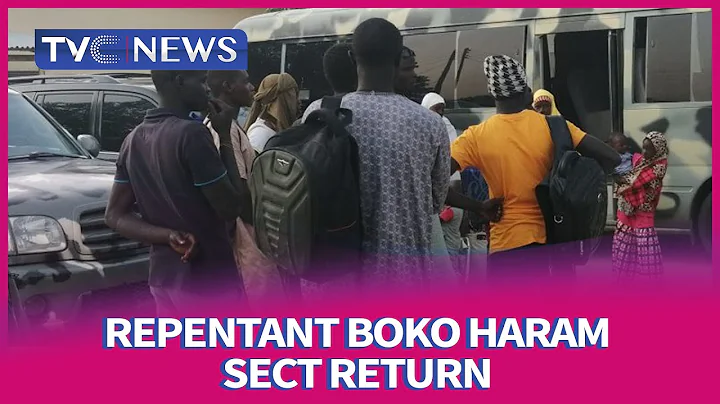 25 repentant Boko Haram fighters return to Borno
