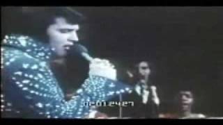 Video thumbnail of "Rockabilly Rebel"