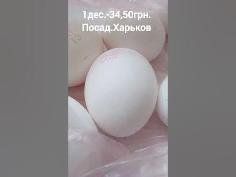 Цена за 1 десяток яиц #ценывукраине #ценынапродукты #цінинапродукти # ...