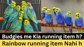 Running Item Kia Hota H Smart Play Kia H?