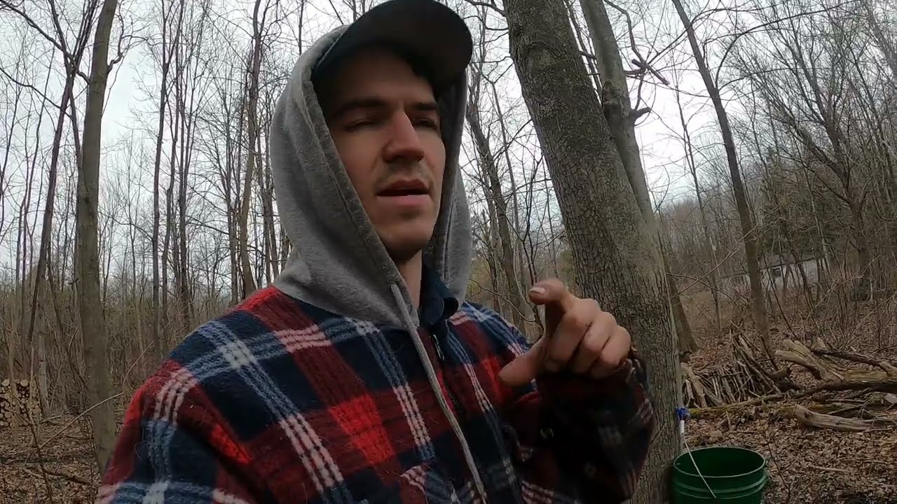 Making maple syrup start to finish: Maple season 2025 part 5.