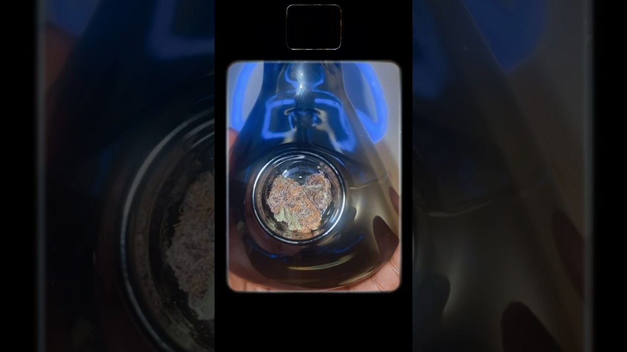 MJ Arsenal x Lateralus Glass x Wildflower Hemp Co