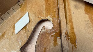 1940's Harmony archtop cleat repair (no talking)