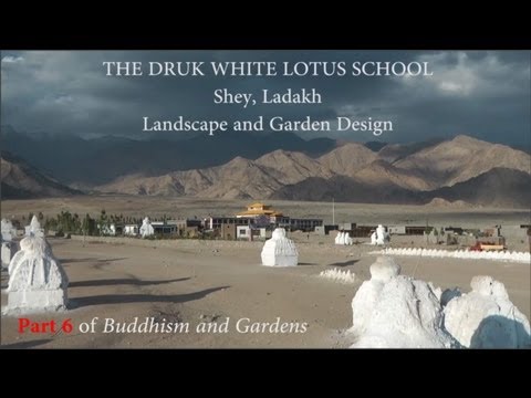 Druk White Lotus