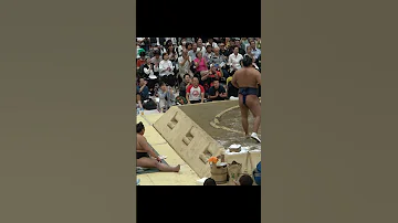Hoshoryu And Abi S Ongoing Sumo Salt Battle 