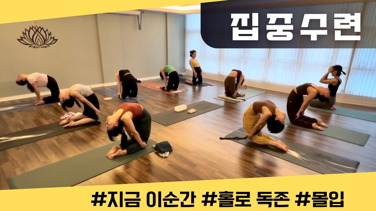 [엔젤요가] 하타집중수련 | 현재 이순간에 머믈기 | 현존