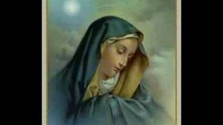 Video voorbeeld van "Mary Glory [Coptic music]"