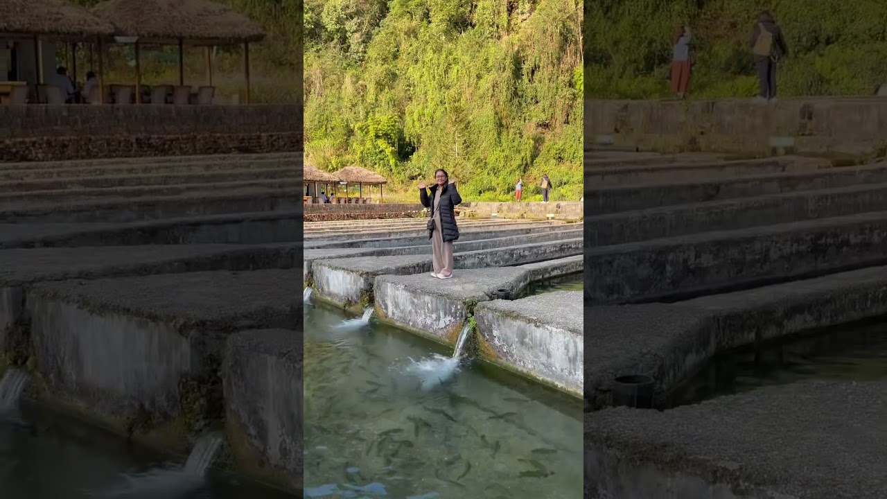 📍Gandaki Rainbow Trout Fish Farm 