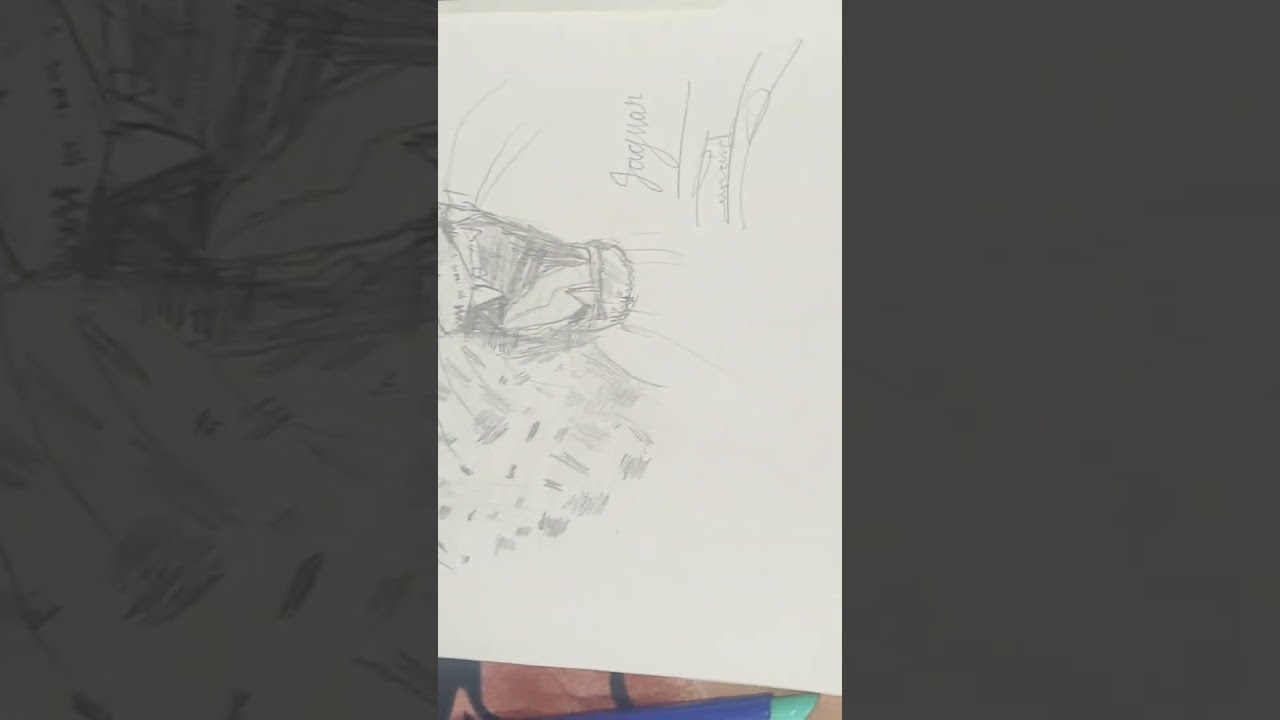 pencil sketch of Jaguar