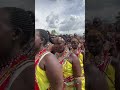 Maasai dance at Maasai Mara #maasaidance #africa #dance