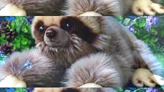 SLOTH PLUSH TOYS