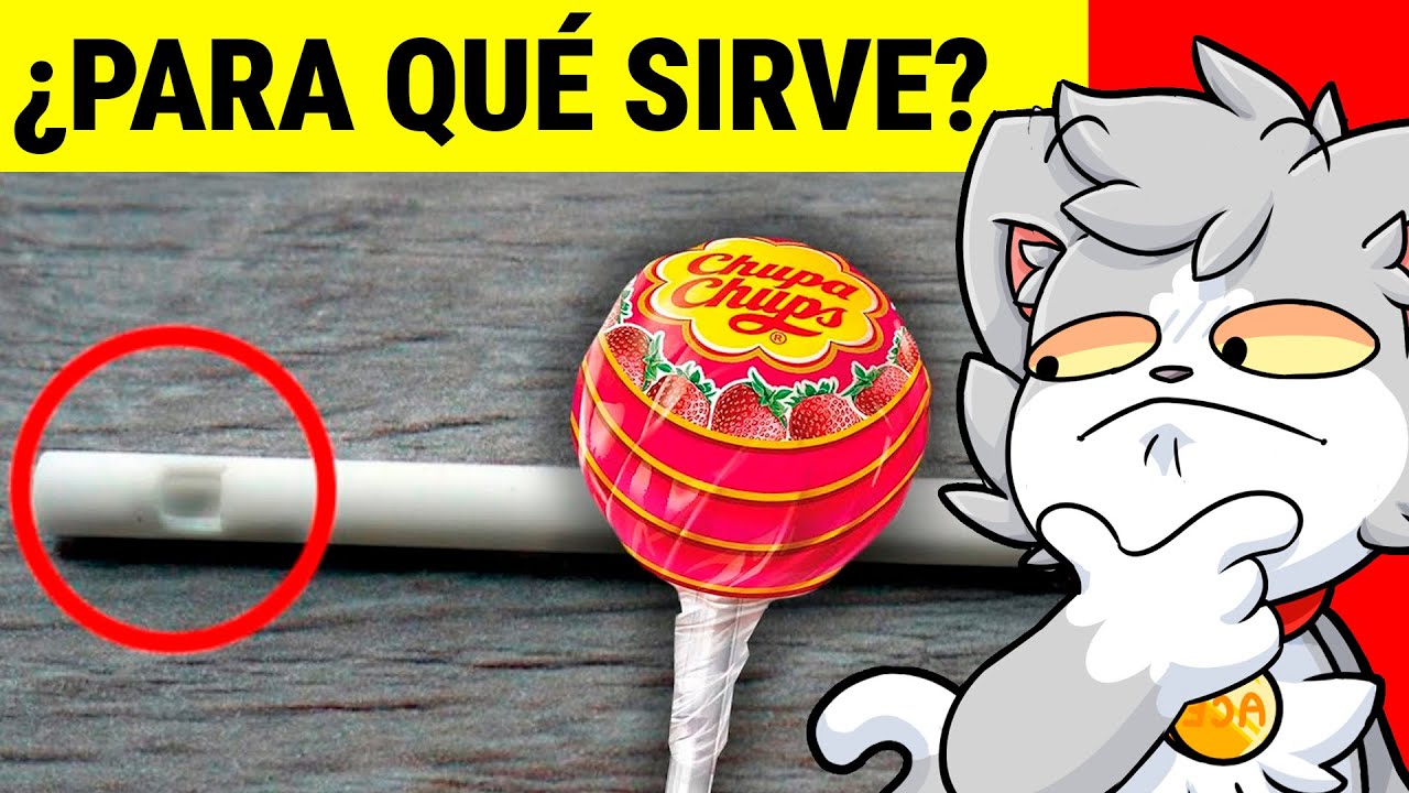 21 COSAS QUE SIEMPRE QUISISTE SABER 🤯🧠