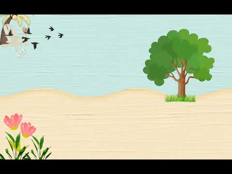 Video Hình nền video đẹp - youtube