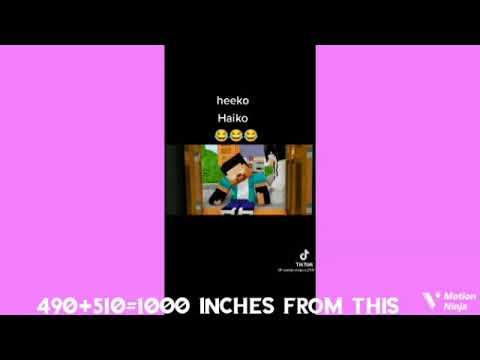 Motion Ninja 4260 inches