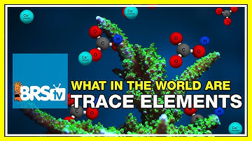 Week 33: Trace Elements: Is supplementation right for your tank? | 52 Weeks of Reefing