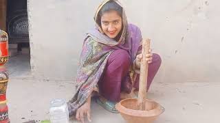 Stani Village Family Vlog Fiza Joint Family Vlog