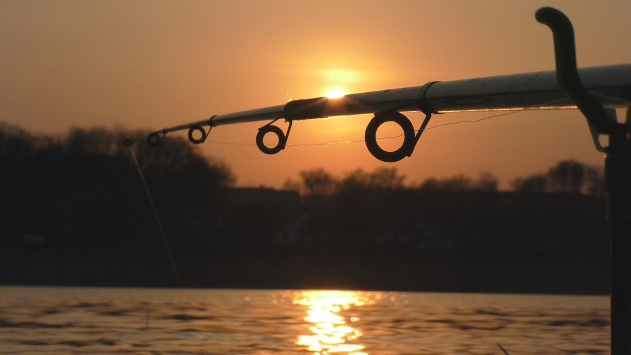 Рыбалка. Поплавочная ловля карася на вечерней зорьке. My fishing