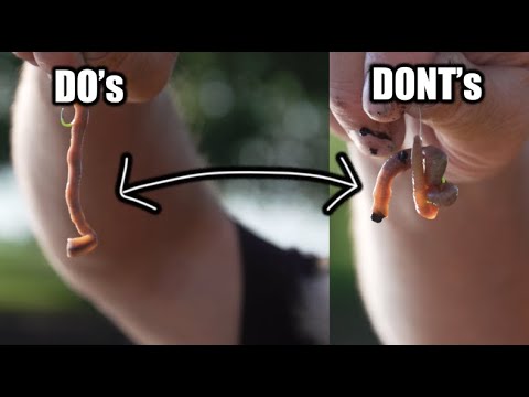 How to Hook a Worm for Fishing (Fishing Tip) 