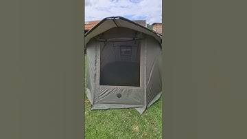 Delphin panorama eazy